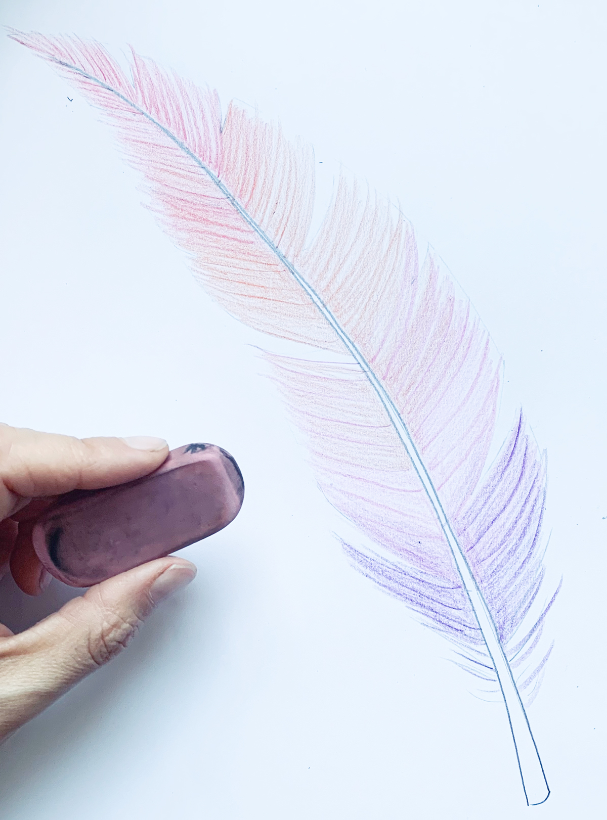 How to draw a feather with lines color