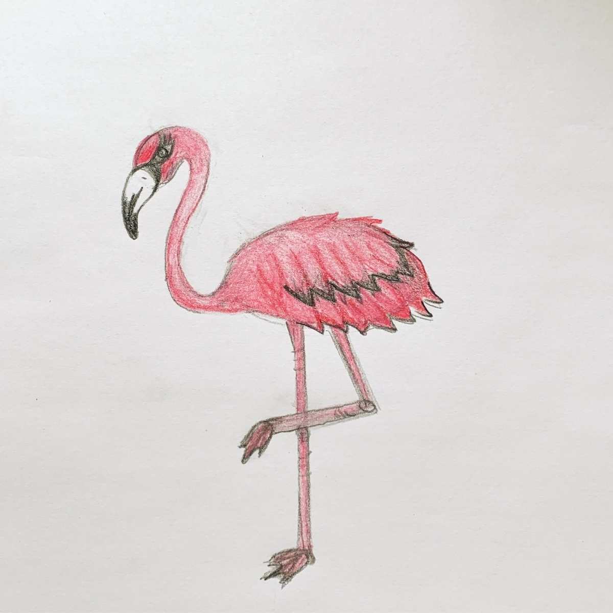 How to color a flamingo