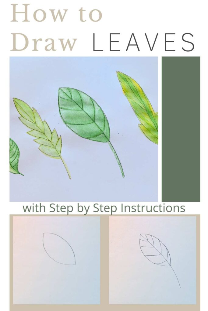 How to Draw a Leaf With Symmetry - basicdraw.com