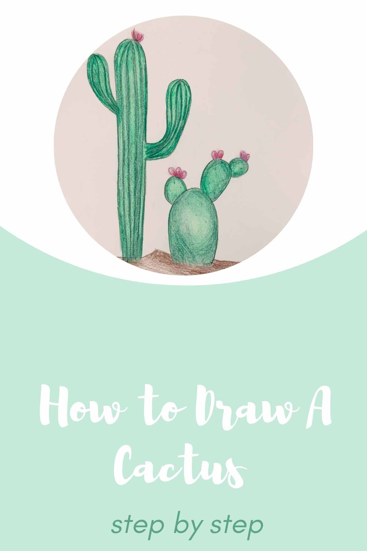 How to draw Cactus